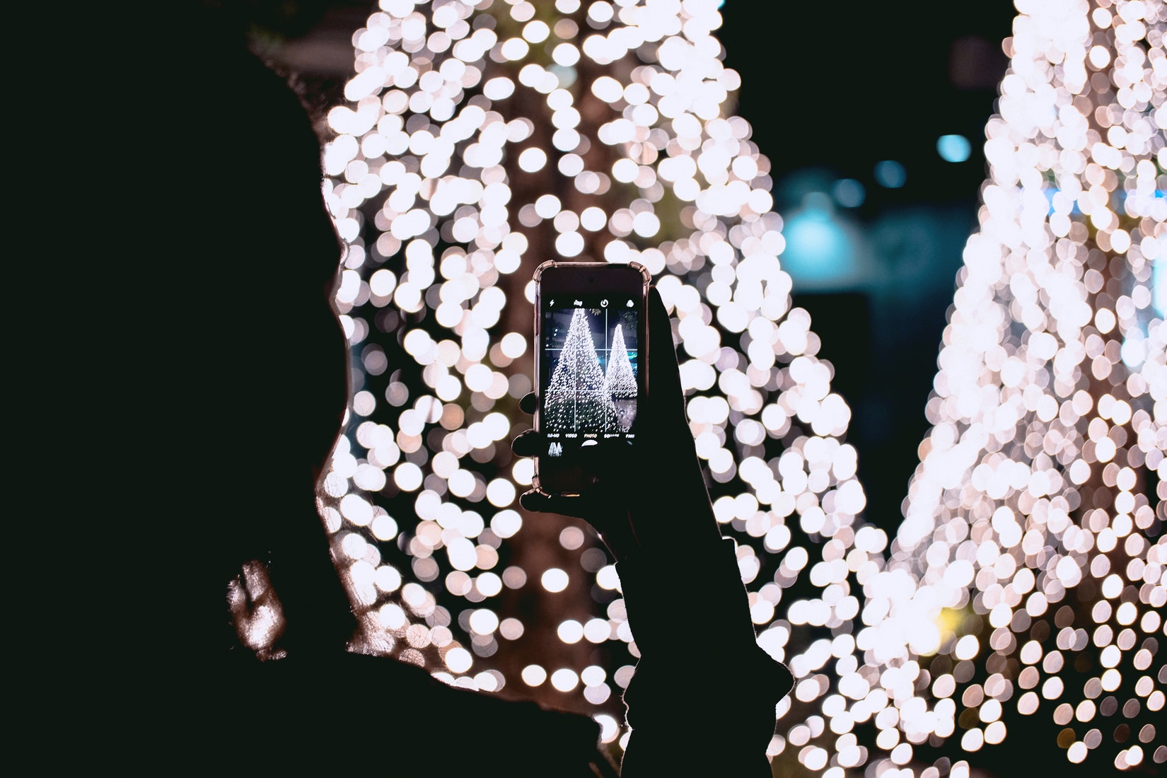 silhouette of person taking cellphone photo of 2 Christmas trees decorated with white lights
